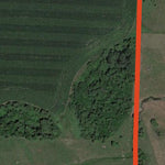 Bue-tiful Acres WMA Preview 3