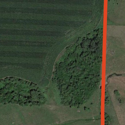 Bue-tiful Acres WMA Preview 3