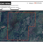 Burleene WMA Preview 1