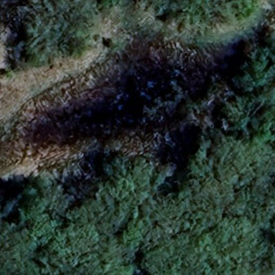 Butternut WMA - North Unit Preview 2