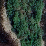 Butternut WMA - North Unit Preview 3