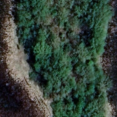 Butternut WMA - North Unit Preview 3