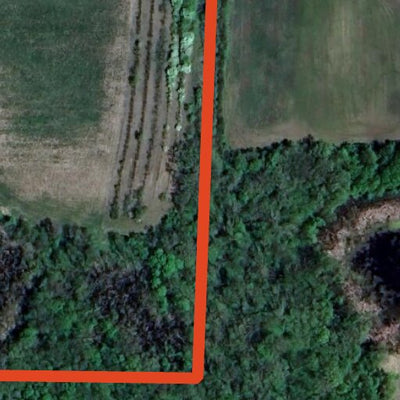 Butternut WMA - South Unit Preview 2