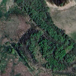 Butternut WMA - South Unit Preview 3