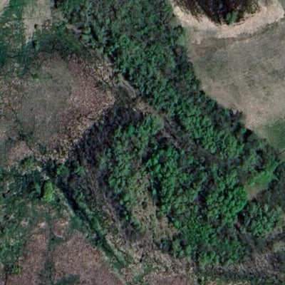 Butternut WMA - South Unit Preview 3