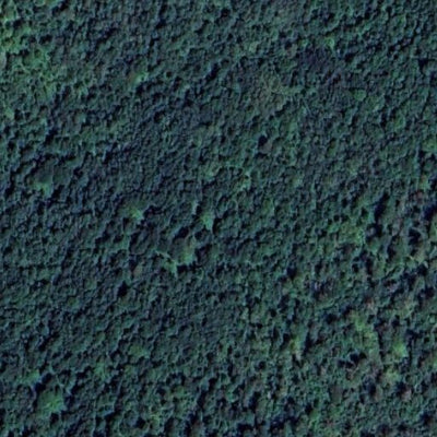 Caribou Falls WMA - East Unit Preview 2