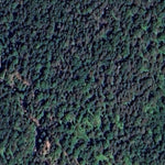 Caribou Falls WMA - East Unit Preview 3