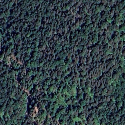 Caribou Falls WMA - East Unit Preview 3