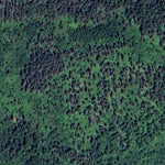 Caribou Falls WMA - West Unit Preview 2