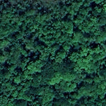 Carl E. Bonnell WMA Preview 2