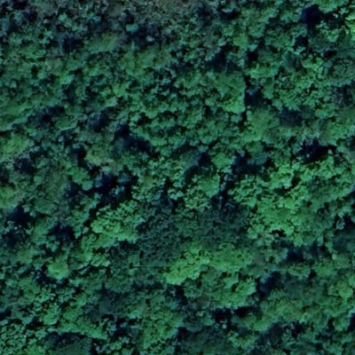 Carl E. Bonnell WMA Preview 2