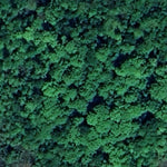 Carl E. Bonnell WMA Preview 3