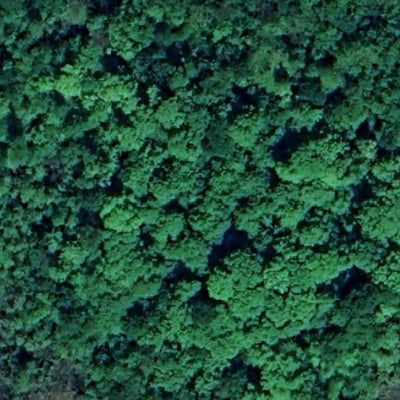 Carl E. Bonnell WMA Preview 3