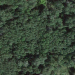 Carl Sandell WMA Preview 2