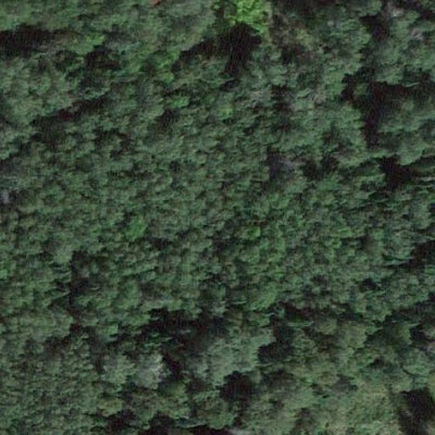 Carl Sandell WMA Preview 2