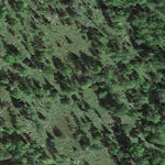 Carl Sandell WMA Preview 3