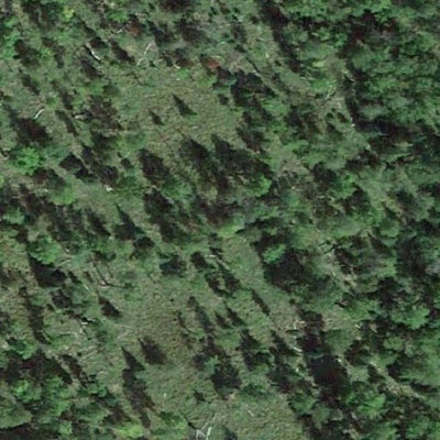 Carl Sandell WMA Preview 3