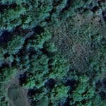 Carver Highlands WMA - Middle Unit Preview 3