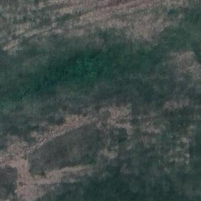 Carver Highlands WMA - South Unit Preview 2