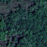 Carver Highlands WMA - South Unit Preview 3