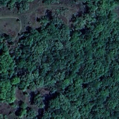 Carver Highlands WMA - South Unit Preview 3