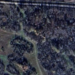 Cedar II WMA Preview 3