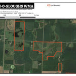 Chain-O-Sloughs WMA Preview 1