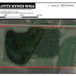 Charlotte Hynes WMA Preview 1
