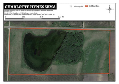 Charlotte Hynes WMA Preview 1