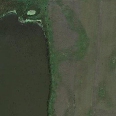 Chippewa Pond WMA Preview 2