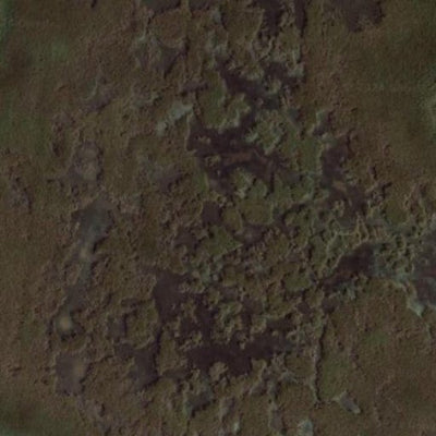 Christopherson WMA Preview 2