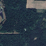 Clare Johnson - Carl W. Schmidt WMA - Large Marsh Unit Preview 3