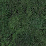 Cleanwater WMA Preview 3