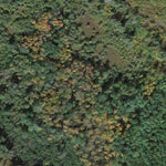 Clear River WMA Preview 2