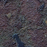 Clitheral WMA Preview 3