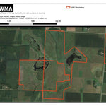 Coot WMA Preview 1
