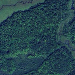 Daggett Brook WMA Preview 3