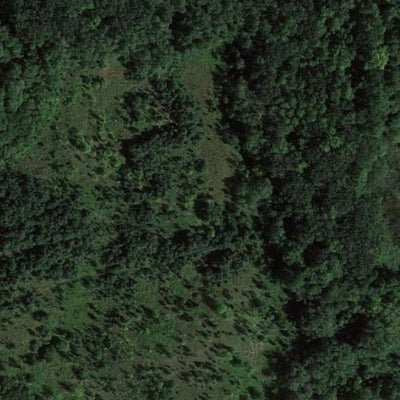 Daniel Shay WMA Preview 3