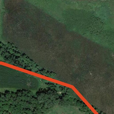Daub's Lake WMA - Central East Unit Preview 3