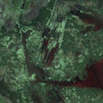 David H. Steen WMA Preview 2