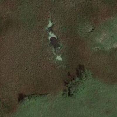 Dawson WMA Preview 2