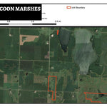 Dead Coon Marshes WMA Preview 1