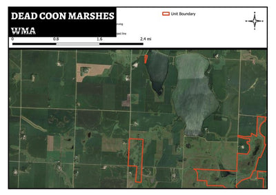 Dead Coon Marshes WMA Preview 1