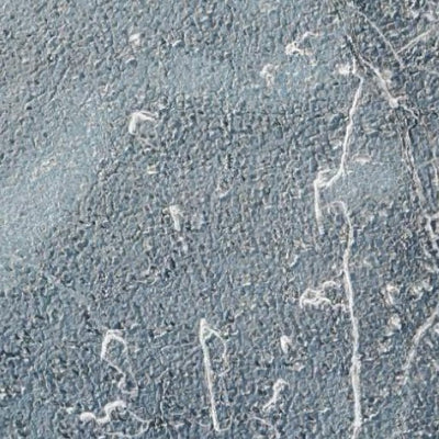 Dead Lake WMA Preview 3