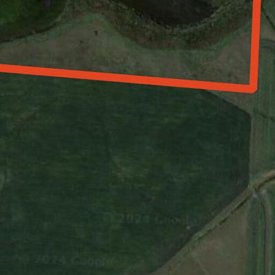 Dismal Swamp WMA Preview 2