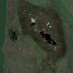 Dismal Swamp WMA Preview 3