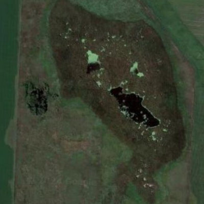 Dismal Swamp WMA Preview 3