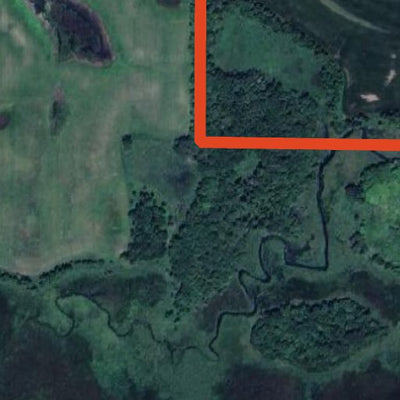 Dora Lake WMA Preview 2