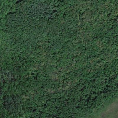 Duck Lake WMA Preview 3