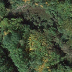 East Branch WMA Preview 2